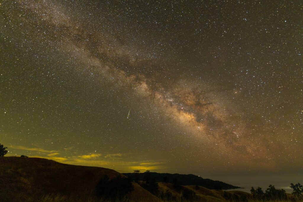 黄色い星空
